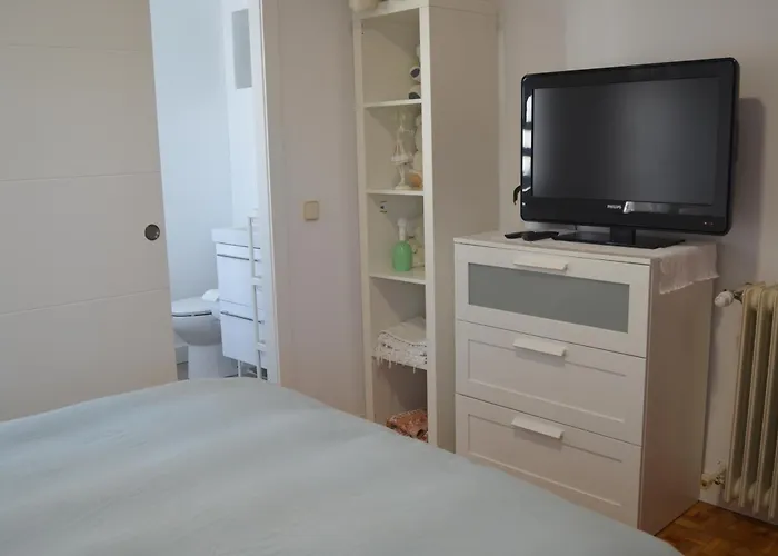 Luxury Renovated Apartment With Terrace In Madrid