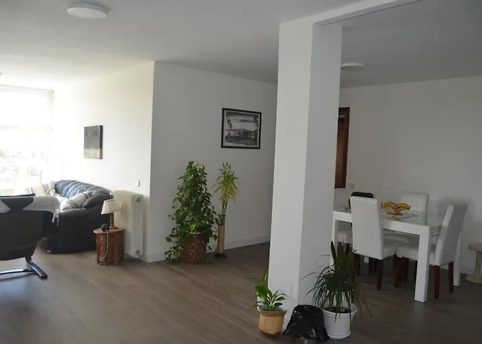 Luxury Renovated Apartment With Terrace In Madrid